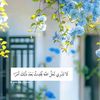 fatma39685