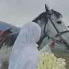 sumayaahmad61