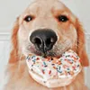 preppy_photos1230