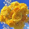 user4743040610079