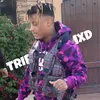 triple9avr