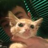 manuel_pe45