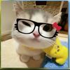 hello_kitty__57338