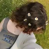 mstfs.mst