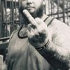 tooloud40