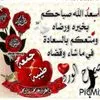 amir.elnom