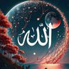 quran.karem165