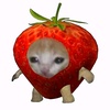 kpop_strawberrry