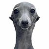 justthebetterscript