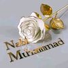 naiimaa.abshiruu