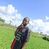 shafiujibrin383