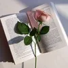 user6104452618463