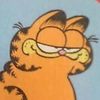 nukeethecat