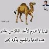 ghofran.dnr
