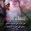 user6823522246006