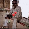 user8170329816012