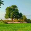 user2581610042887