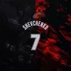 shevchenko02