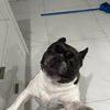 elyssahprivv