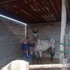 omaryescas117