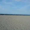 muuutb