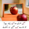 user95010196837288