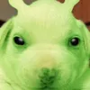 nose_.304