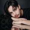 shaam_730