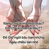 duyn.phn3415