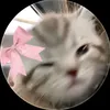 fely_230