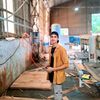 htet.aung4369
