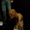 grigo.grigorini