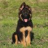 Gretta