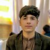 kamalkhan3981