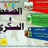 hafidasbaybi
