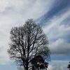 cut_anyak05