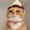 noonaeby_