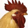 thithanhthanhthuy