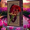user9282534834380