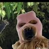 aqilfasyaa_