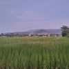 ngel0745