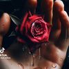 user1050945531225