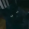 zulie_ka