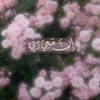 halaalhmad2