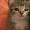 uraaaaluna