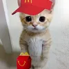 kittyyy501