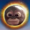 monkeedit1