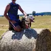 speechles_73