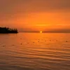 floriver63
