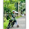 mehedi.hassan4921